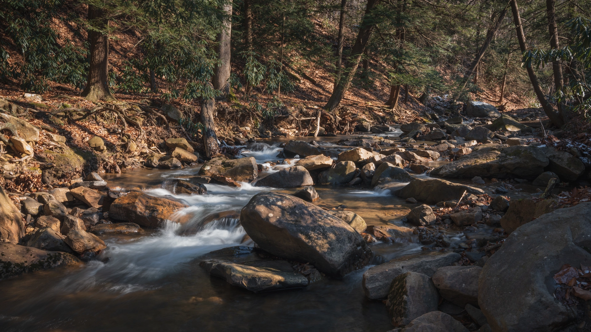 An image depicting the trail Grove Run Loop Trail and its surrounding area.