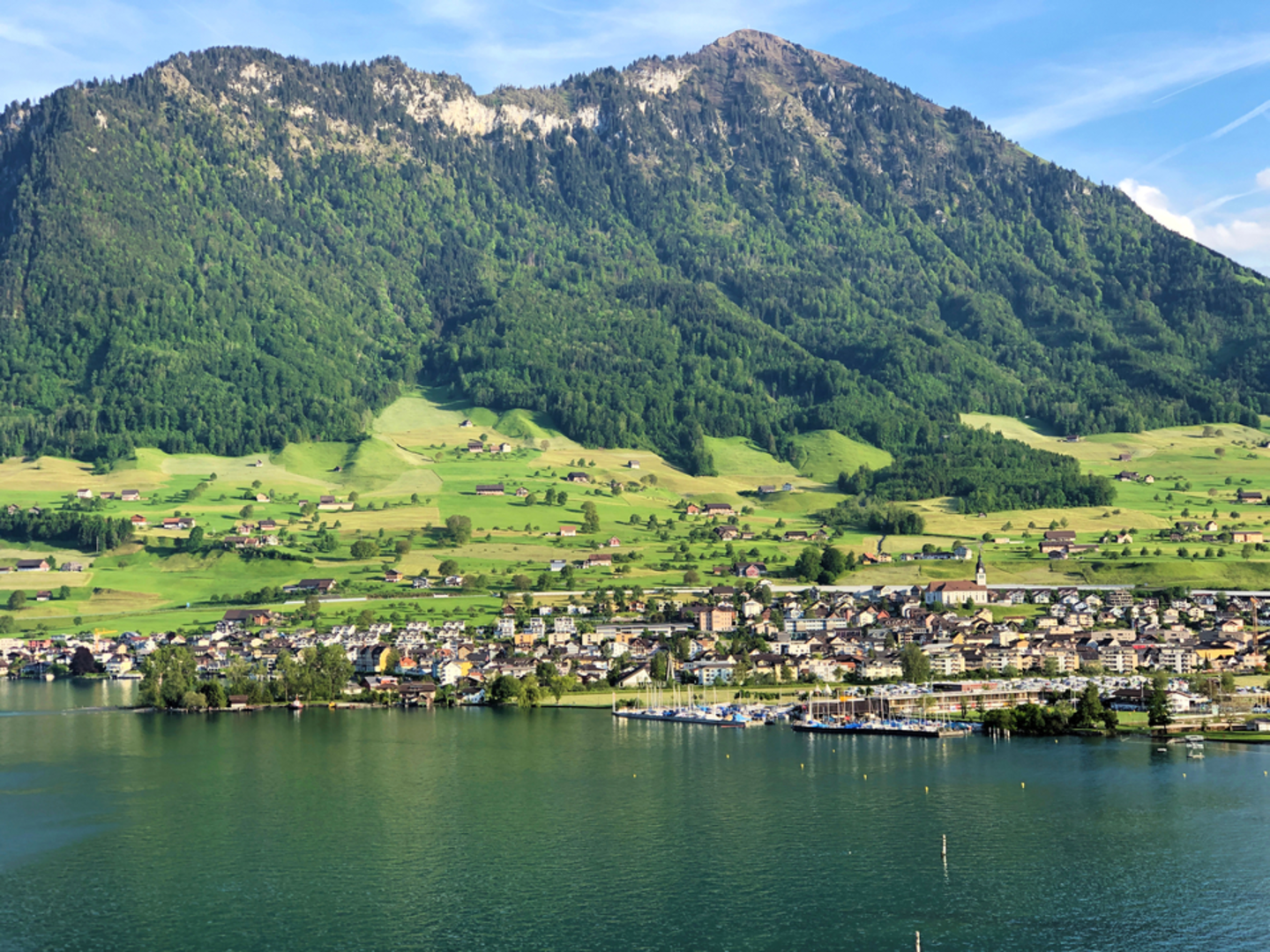 An image depicting the trail The Nose Trail - Buochs and its surrounding area.