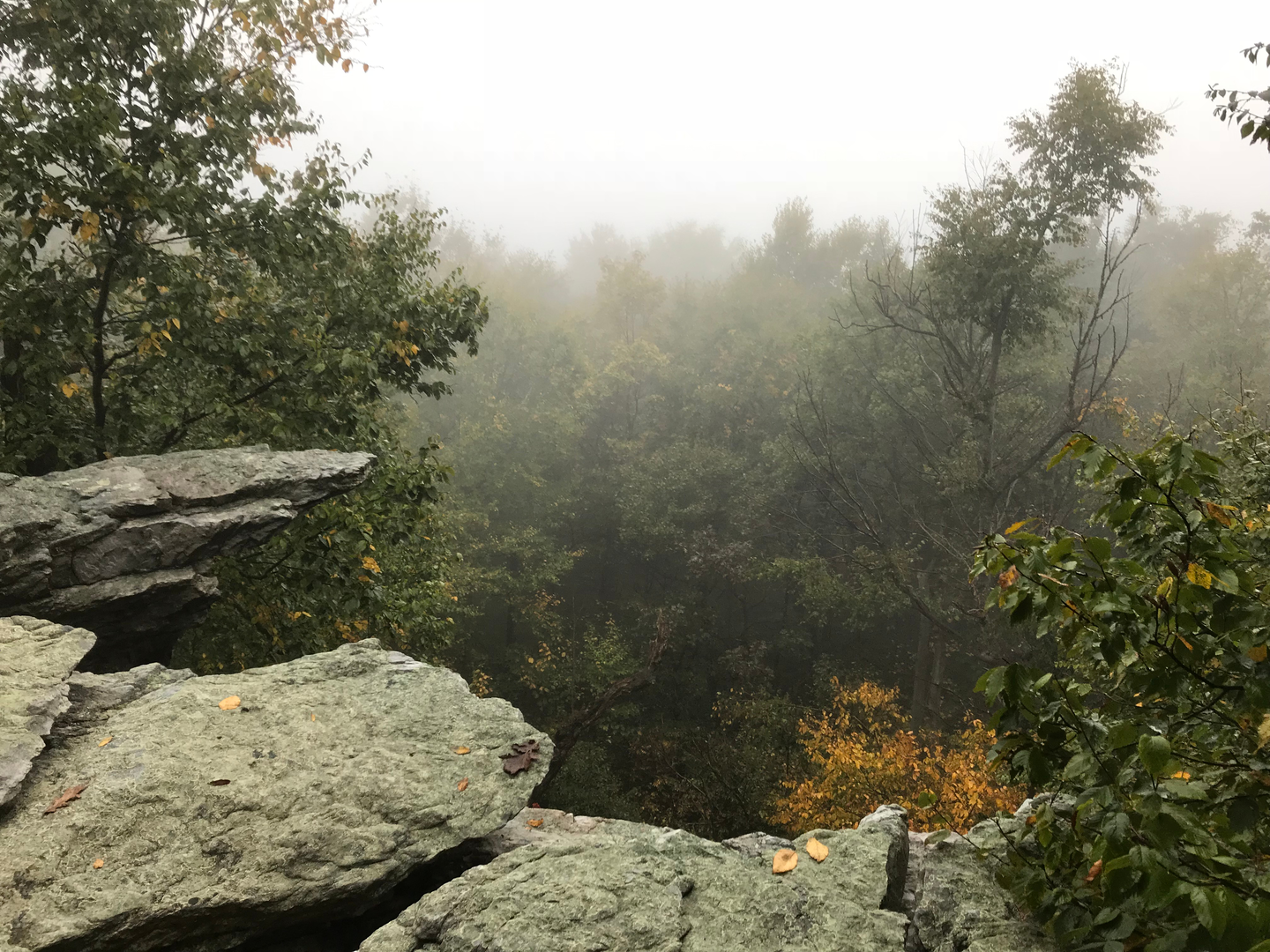 An image depicting the trail Appalachian Trail Section Hike - Port Clinton To Duncannon and its surrounding area.