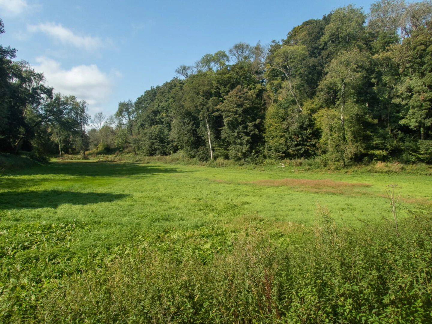 An image depicting the trail Newark Park, Boxwell and Wortley Loop Walk and its surrounding area.