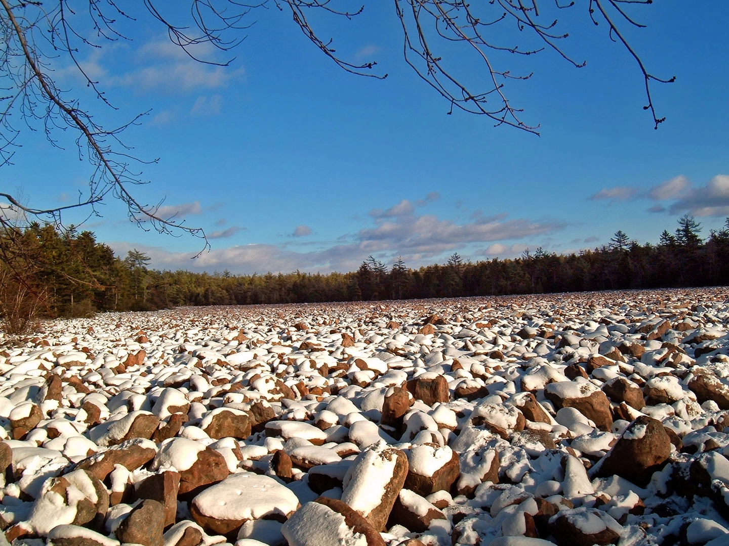 An image depicting the trail Sand Spring Trail - Hickory Run and its surrounding area.