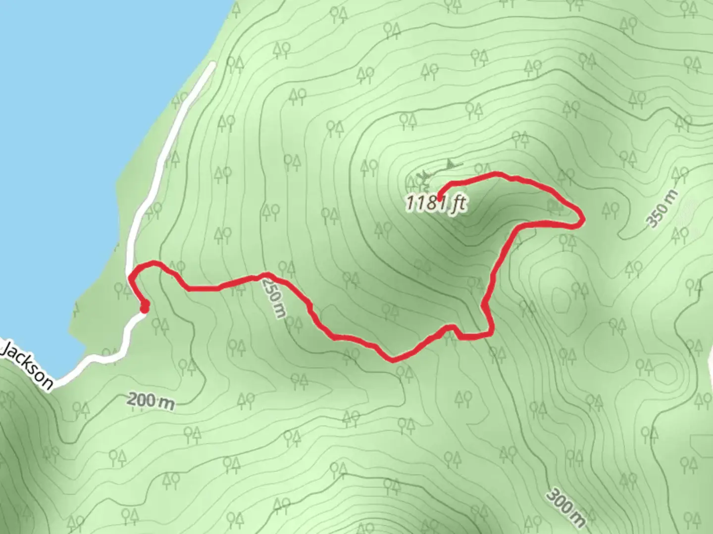 An image depicting the trail The Pinnacle - White Trail and its surrounding area.