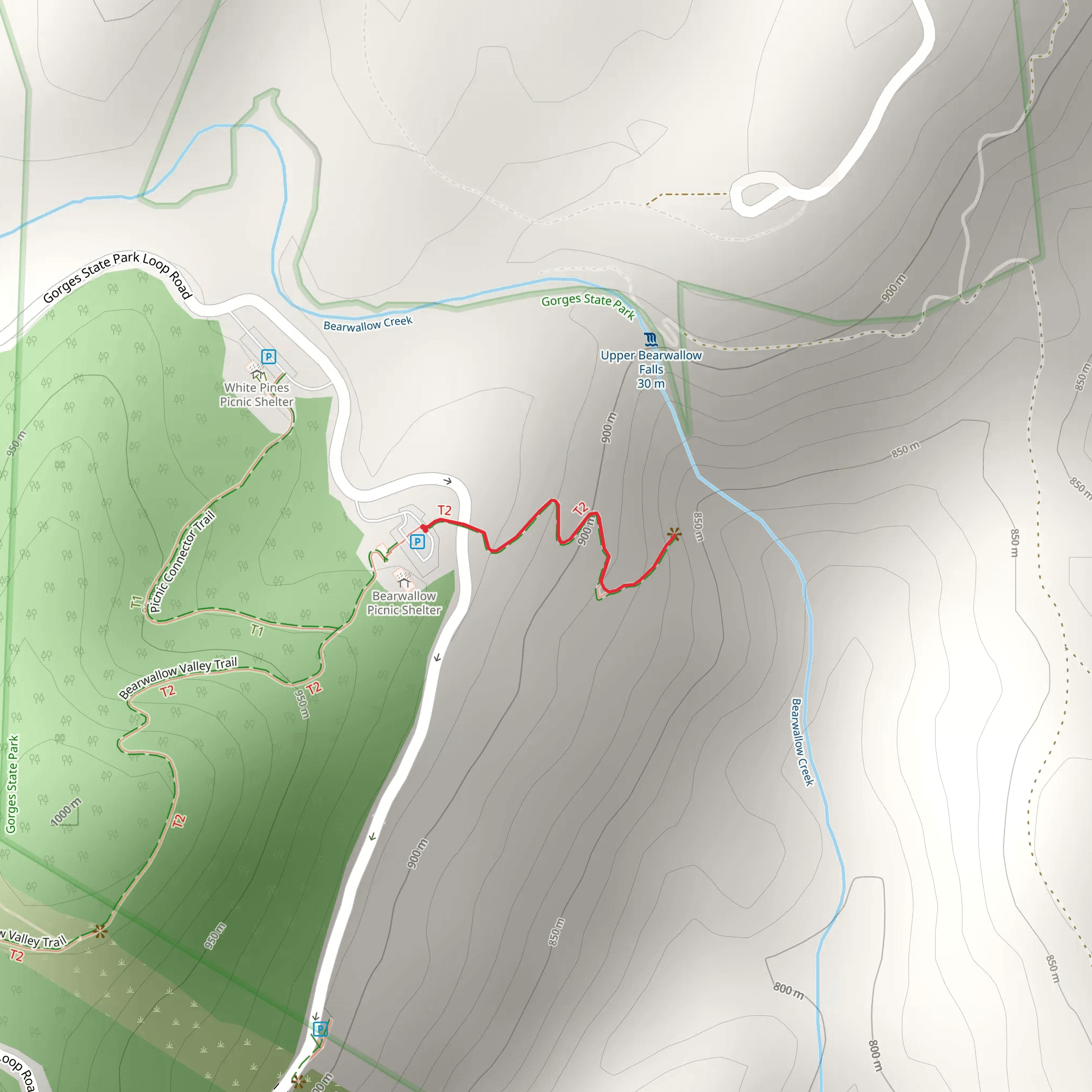 Bearwallow Falls Trail mobile static map