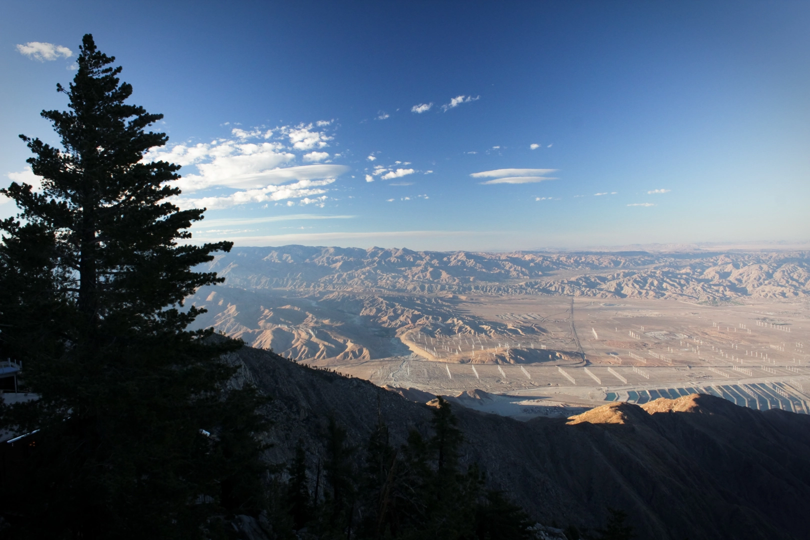 An image depicting the trail Idyllwild Control Road to Pine Cove Road and its surrounding area.