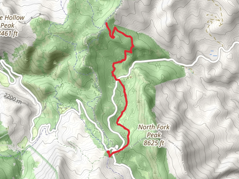 South Fork Little Deer Creek Trail