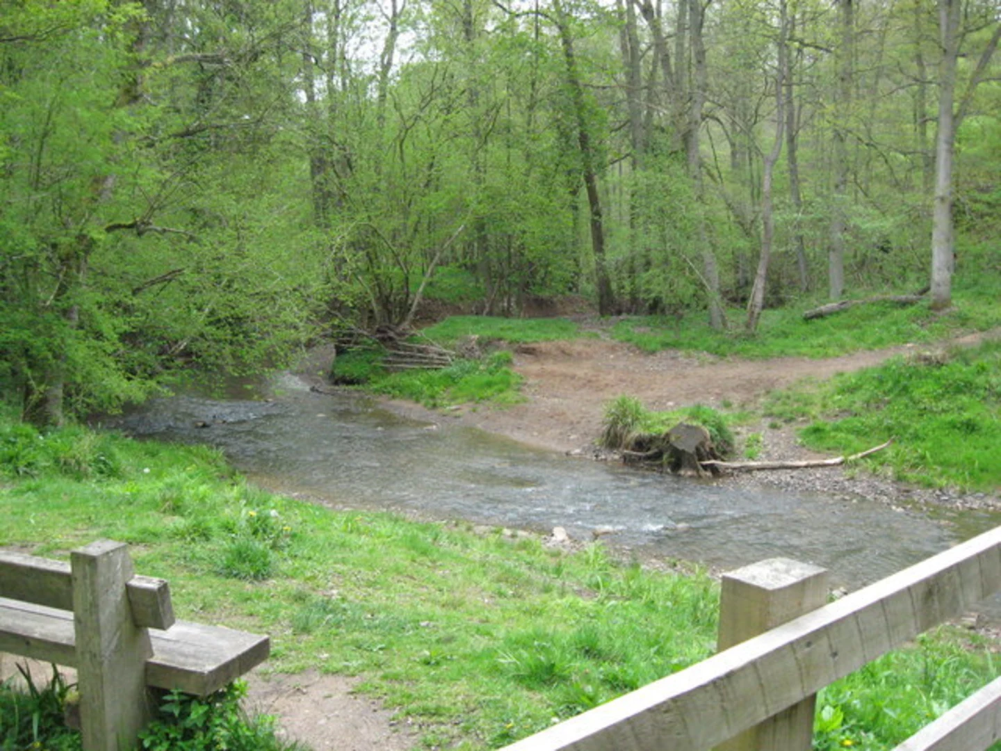 An image depicting the trail Wyre Forest and its surrounding area.