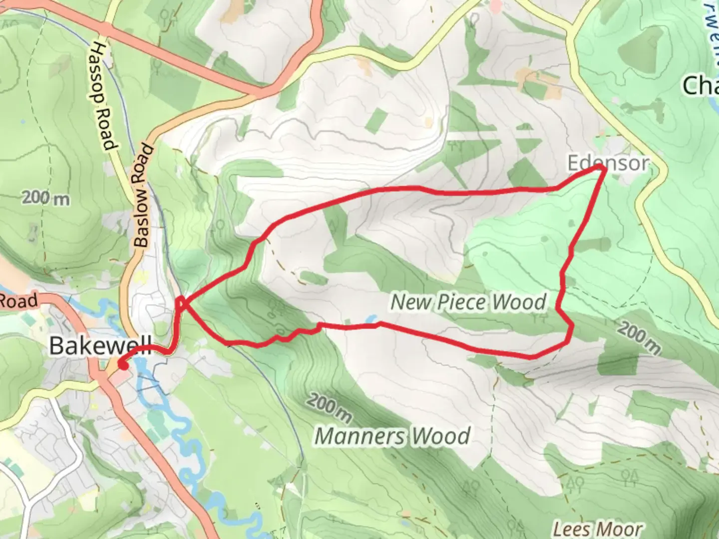 An image depicting the trail New Piece Wood Loop and its surrounding area.