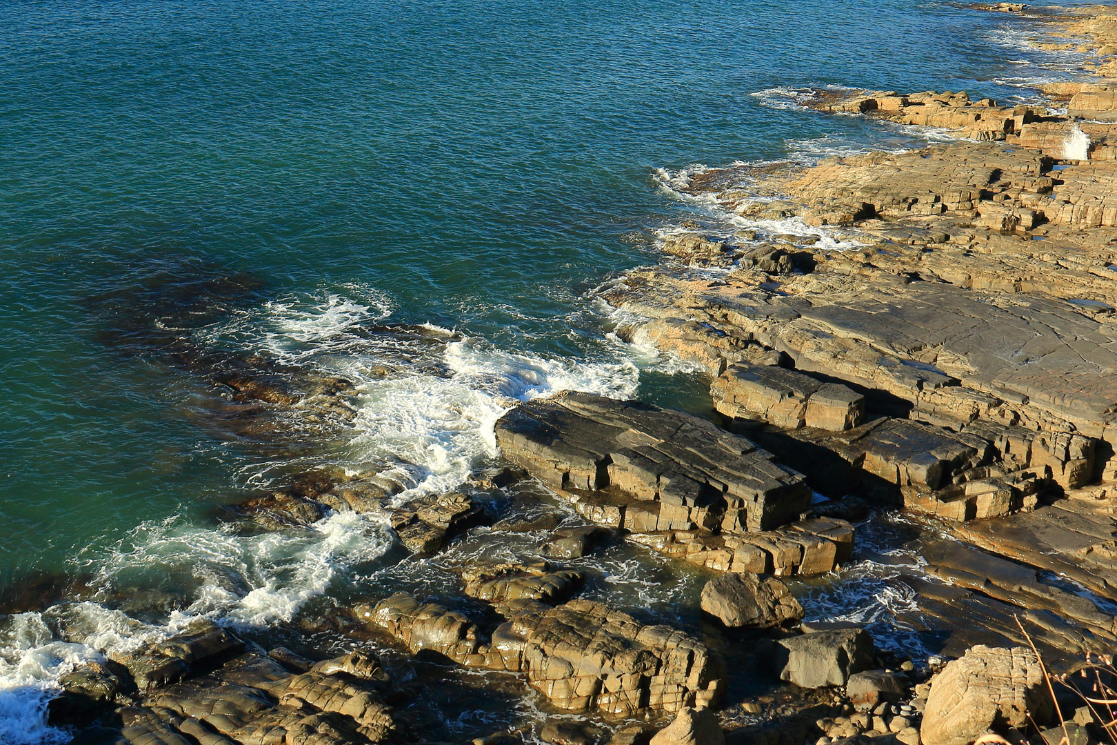 An image depicting the trail Coastal Track to Hells Gate Track and its surrounding area.