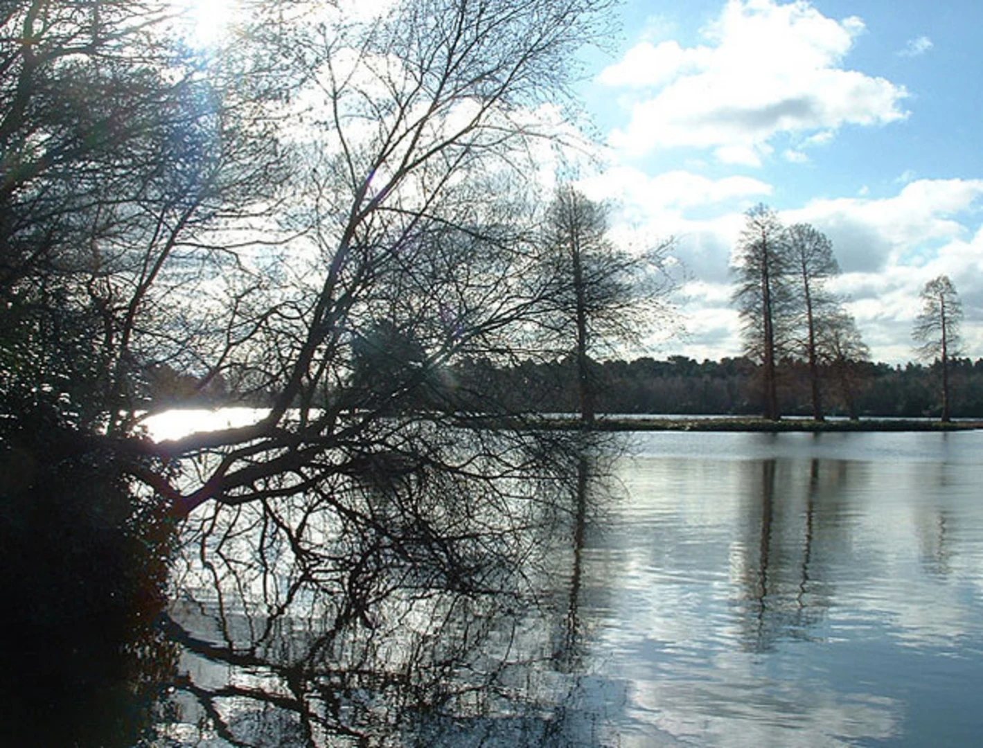 An image depicting the trail Hawley Lake and Hawley Hill Loop and its surrounding area.