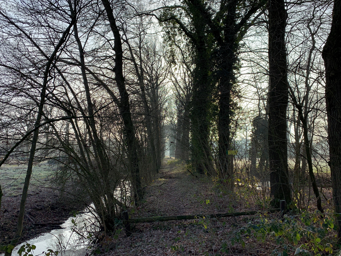 An image depicting the trail Het Paradijs, Ir Juliusput, Kasteel Stoutenburg and De Kopermolen Loop and its surrounding area.