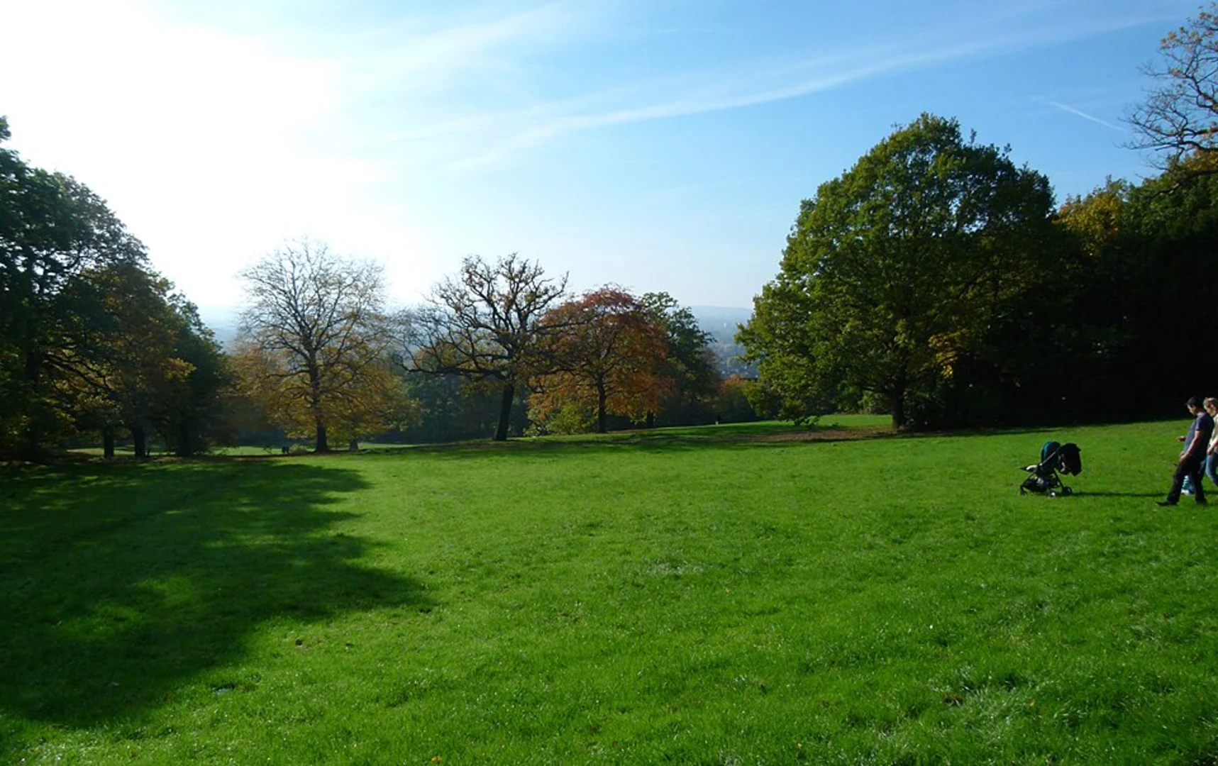 An image depicting the trail Oxleas and Shepherdleas Wood Loop and its surrounding area.