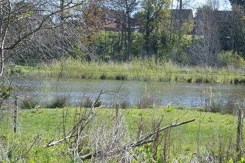 River Great Ouse Loop - Kempston