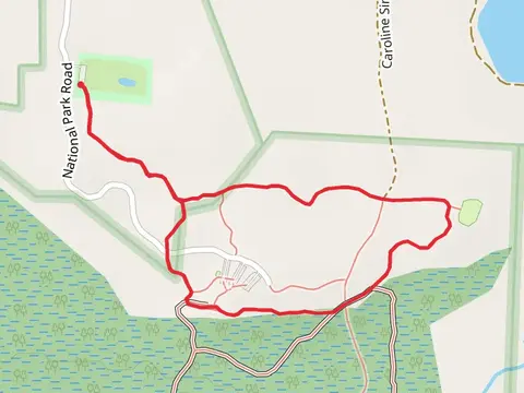 Longleaf and Bluff Loop Trail
