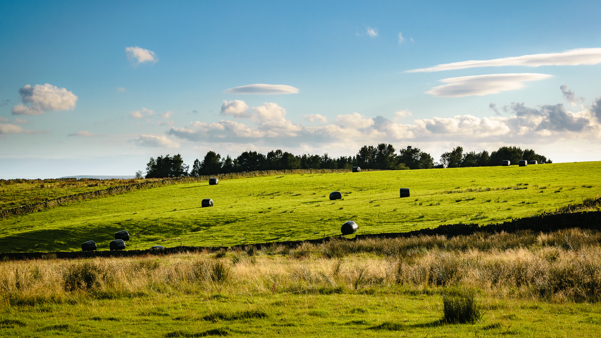 An image depicting the trail Clarion House Way and its surrounding area.
