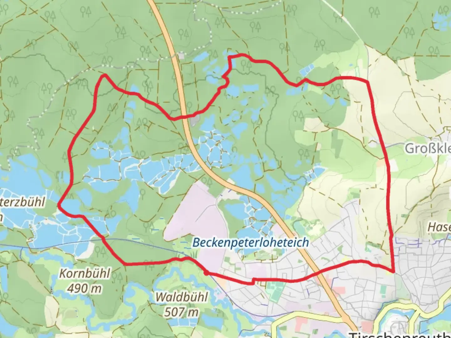 An image depicting the trail Steiningerteich via Oberpfalzweg and Tirschenreuth - Leugas and its surrounding area.
