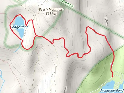 Hodge Pond Loop Trail