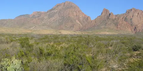 An image depicting the trail Northeast Texas Trail and its surrounding area.