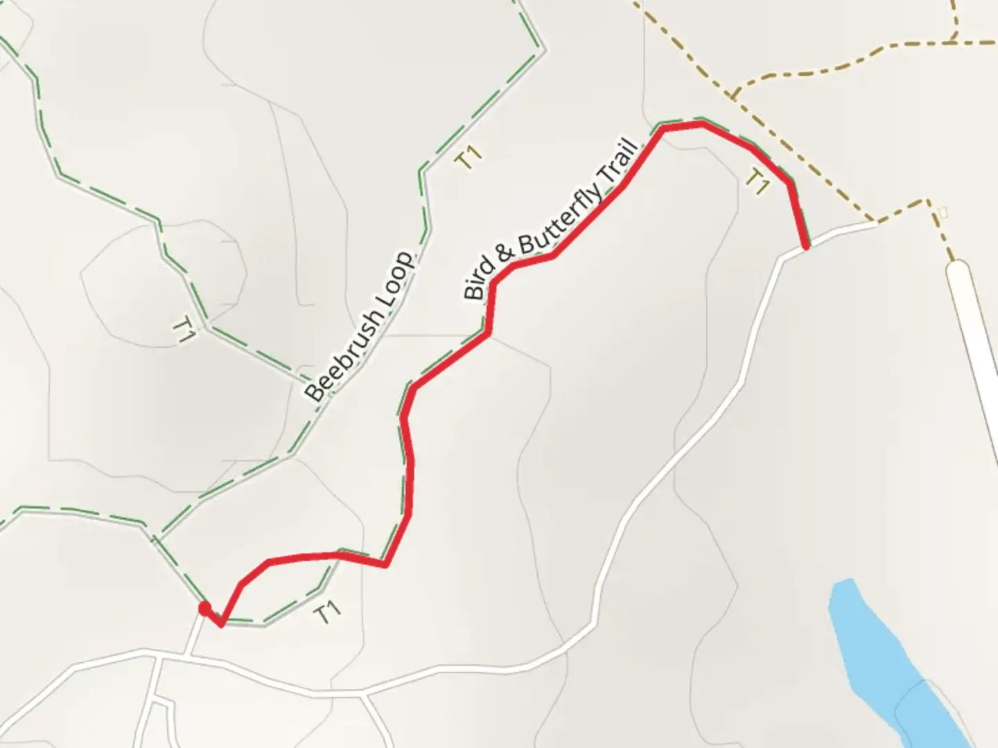 An image depicting the trail Bird and Butterfly Trail and its surrounding area.