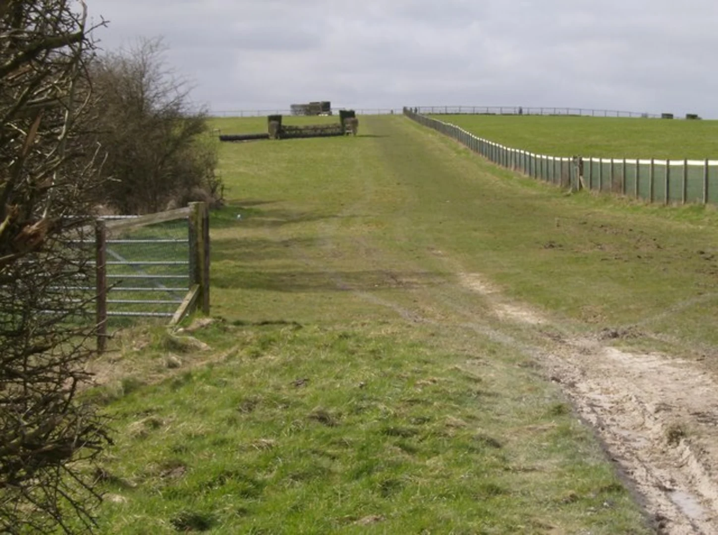 An image depicting the trail Watership Down Walk and its surrounding area.