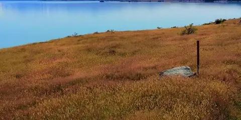 An image depicting the trail Pukaki Kettle Hole Track and its surrounding area.