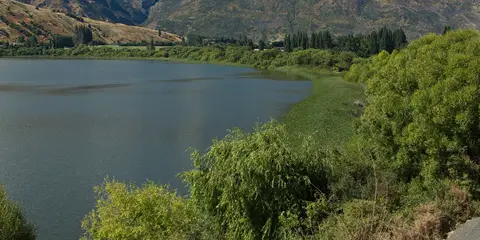 An image depicting the trail Lake Hayes Walkway and its surrounding area.