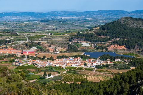 Rugat Trail SL CV 44