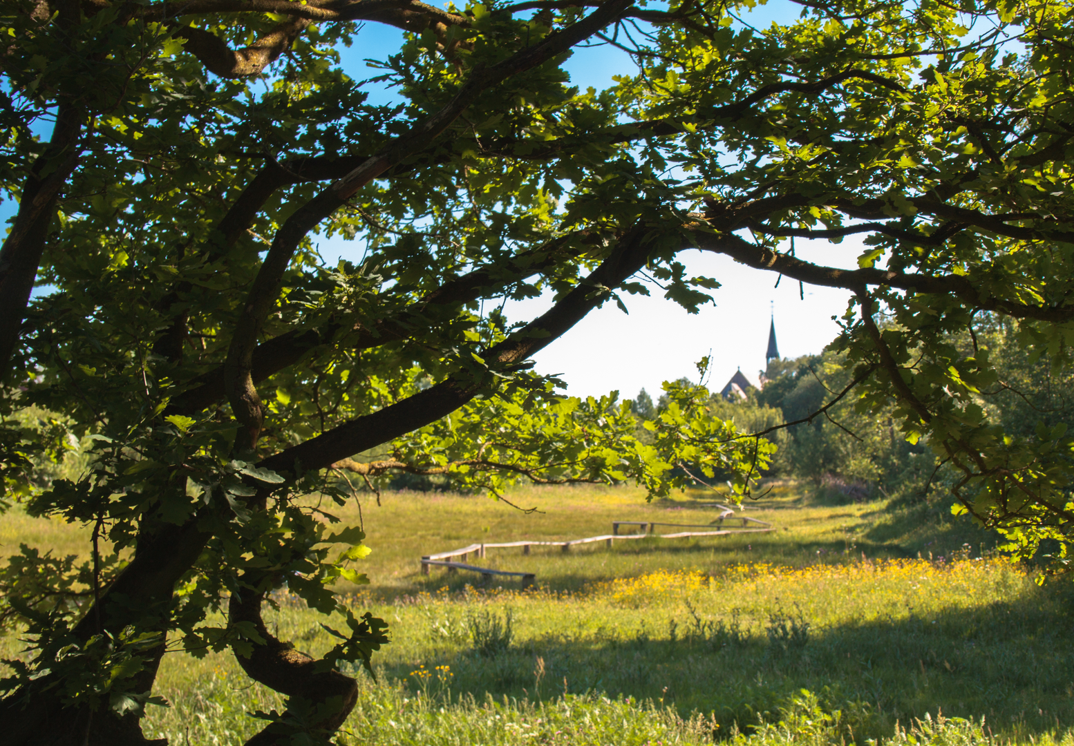 An image depicting the trail Molenheide, Boekels Ven and Luchensche Heide Loop and its surrounding area.