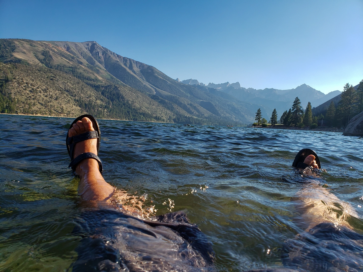An image depicting the trail Horsetail Falls - Horse and Cattle Creek Trail and its surrounding area.
