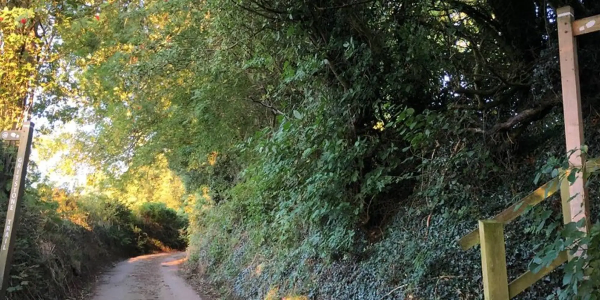 An image depicting the trail Gritstone Walk - Staffordshire and its surrounding area.