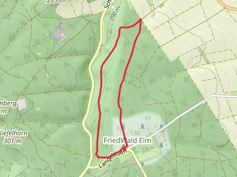 Badeholz and Elm Rundwanderweg 17 Loop