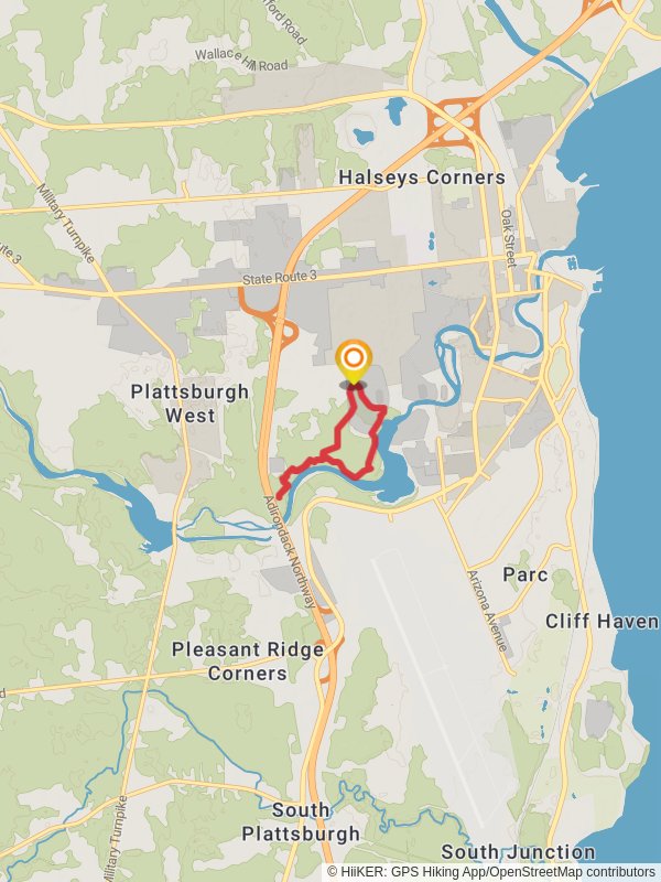 Chip Cummings Field Loop