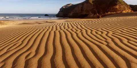 An image depicting the trail Wharariki Beach Loop and its surrounding area.