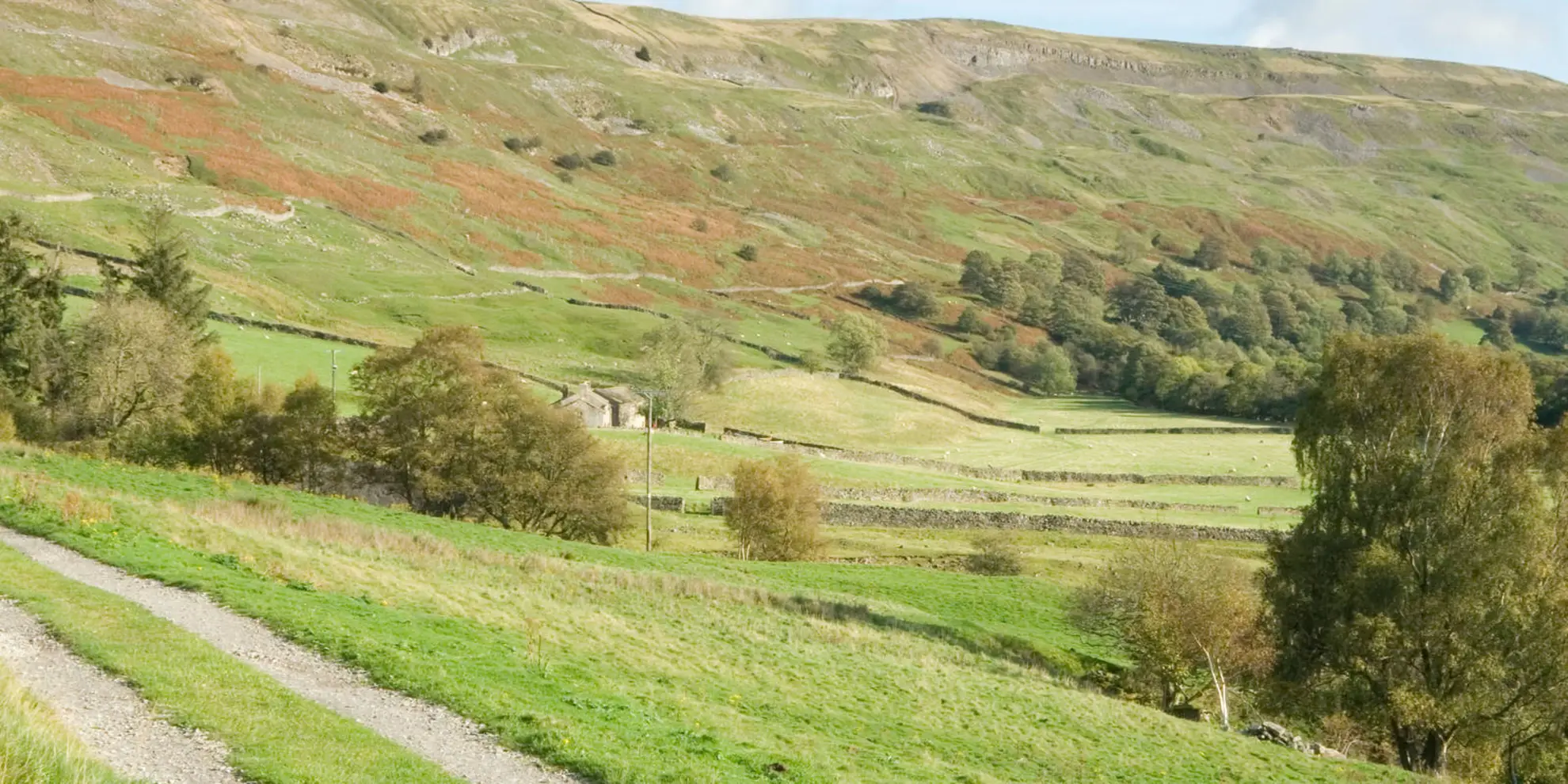 An image depicting the trail Reeth - Grinton Bridge - Marrick Priory - Marrick and Fremington Edge and its surrounding area.