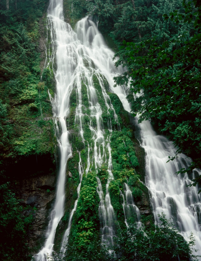 An image depicting the trail Boulder River Trail and its surrounding area.
