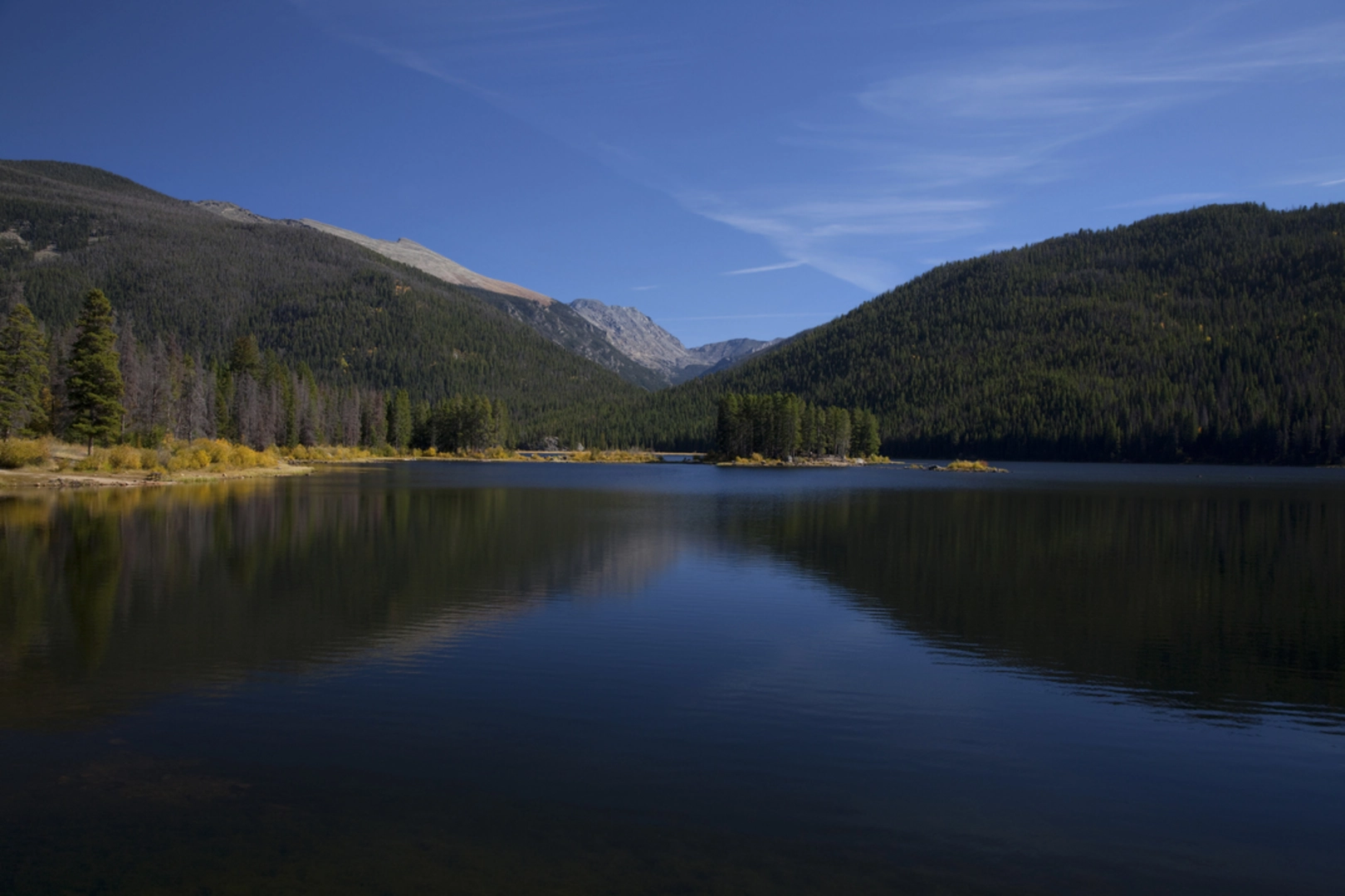 An image depicting the trail Cascade Creek Trail and its surrounding area.
