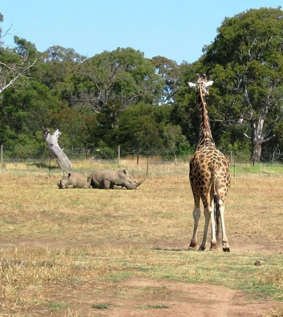 An image depicting the trail Werribee Open Range Zoo Walk and its surrounding area.