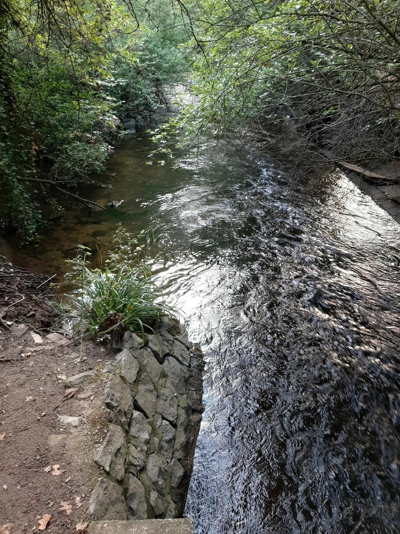 An image depicting the trail Meinhardsee Loop and its surrounding area.