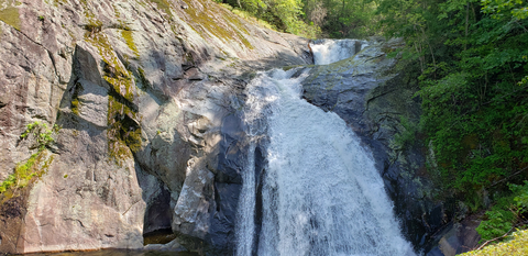 An image depicting the trail Harper Creek Trail and its surrounding area.