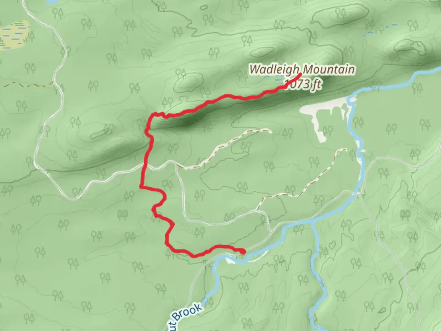 An image depicting the trail Wadleigh Mountain Trail and its surrounding area.