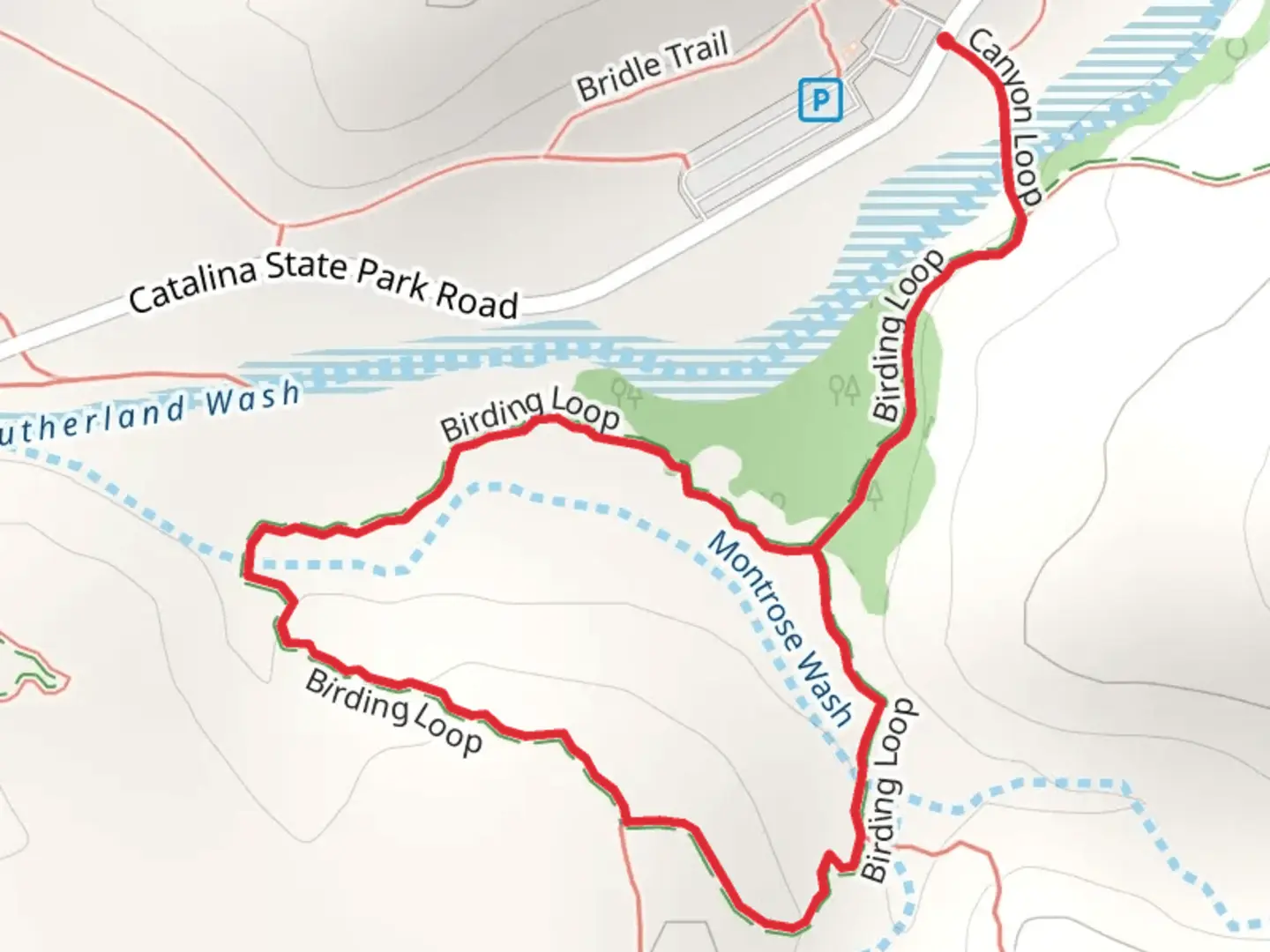 An image depicting the trail Birding Loop Trail and its surrounding area.