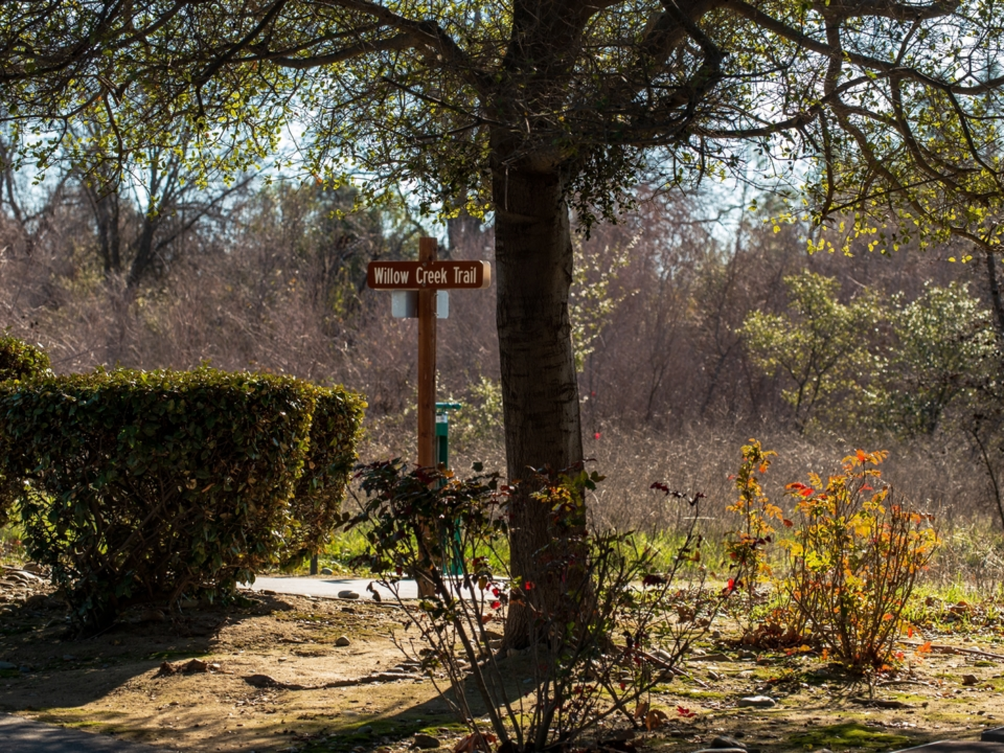 An image depicting the trail Willow Creek Trail and its surrounding area.