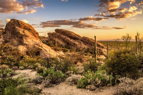 An image depicting the trail Tanque Verde Peak via Tanque Verde Ridge Trail and its surrounding area.