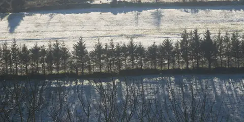 An image depicting the trail Duhallow - Source of Blackwater Loop and its surrounding area.