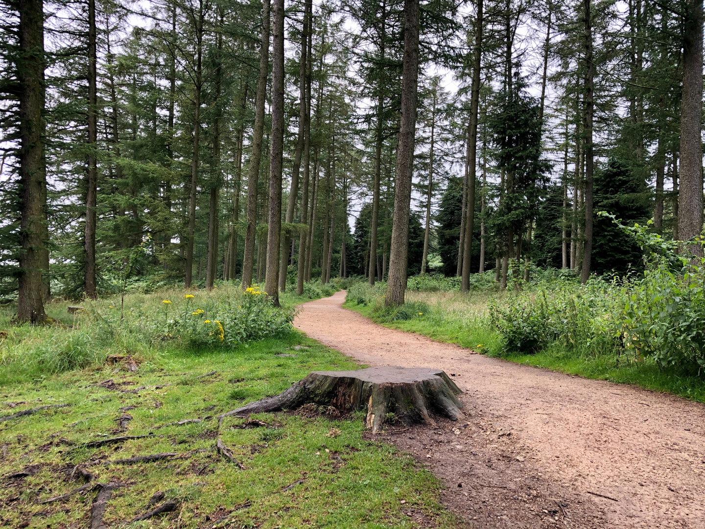An image depicting the trail Osmotherley and Cod Beck Walk and its surrounding area.
