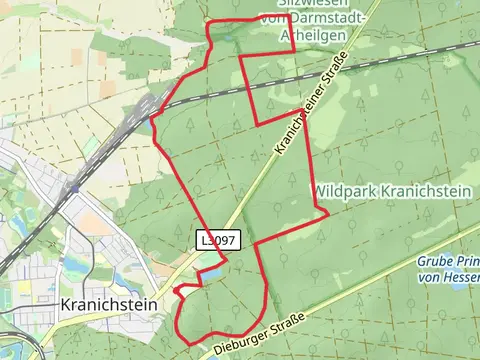 Backhausteich via Kernschneise and Hahnwiesenschneise