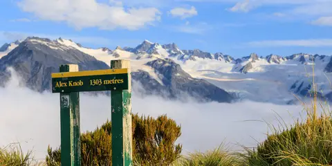 An image depicting the trail Alex Knob Track and its surrounding area.