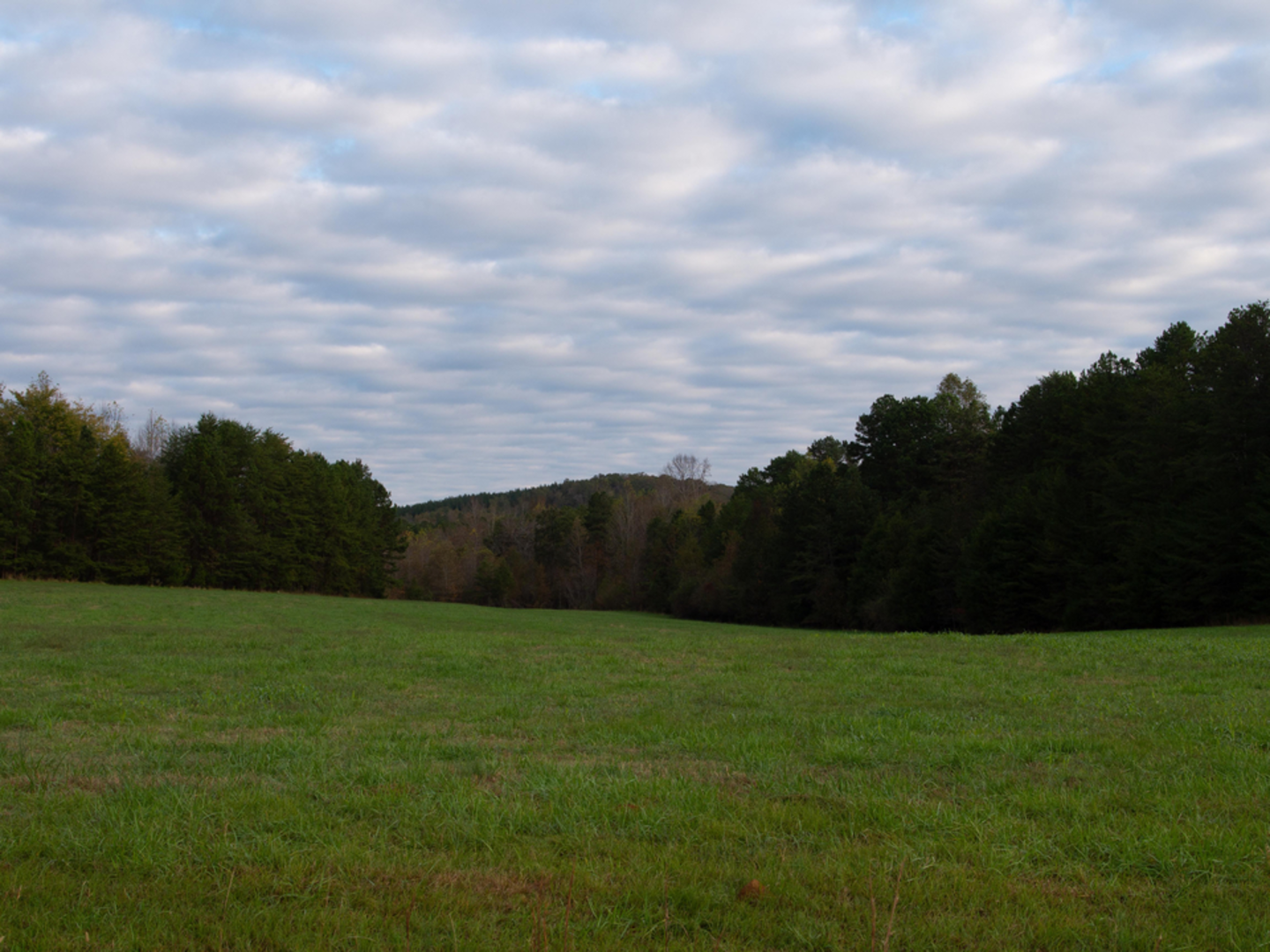 An image depicting the trail Helens Loop Trail and its surrounding area.