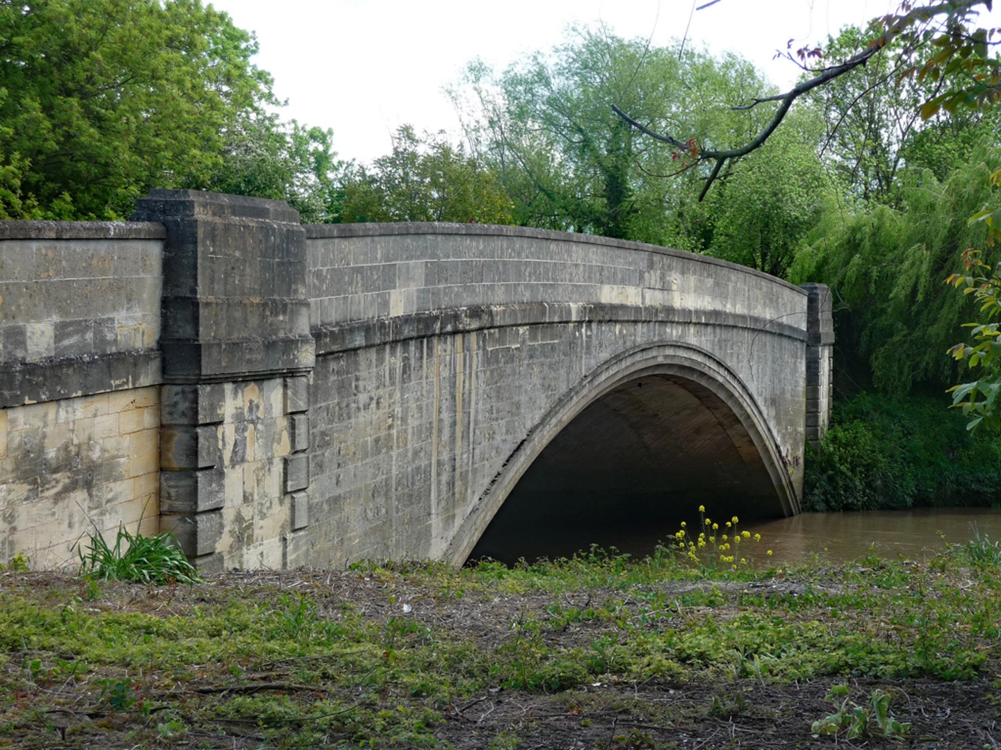 An image depicting the trail Maisemore Loop and its surrounding area.