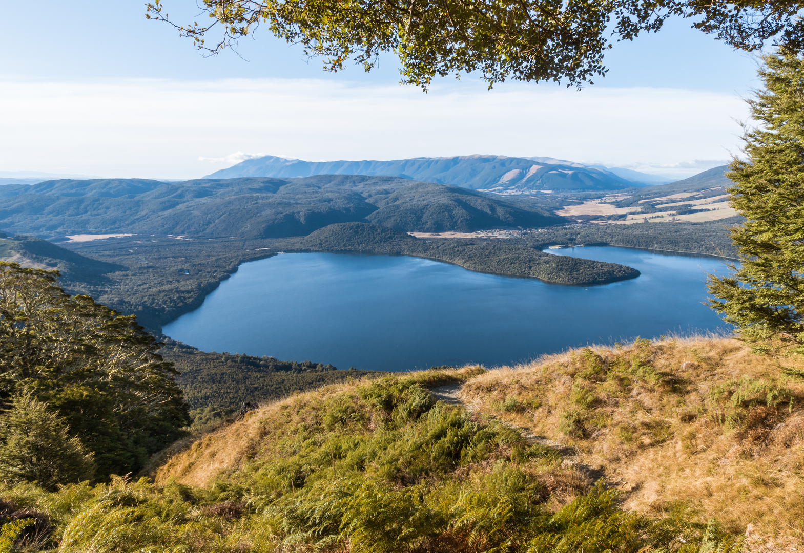 An image depicting the trail Lake Rotoiti - West Bay - Moraine Walk and its surrounding area.