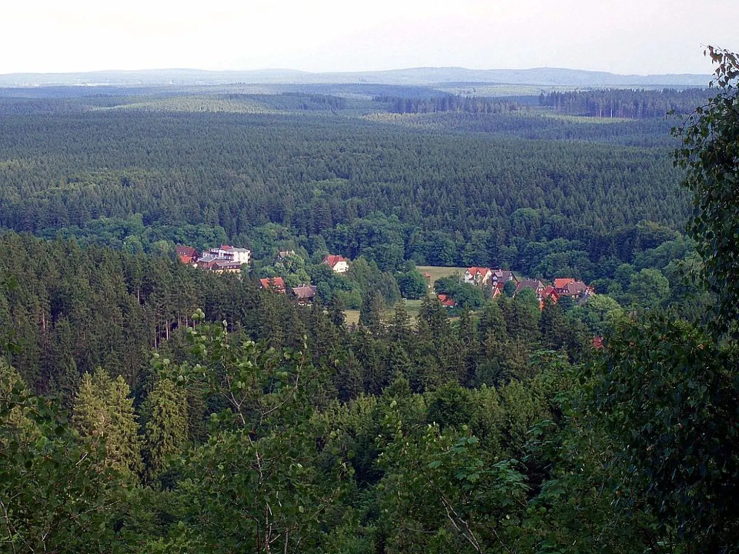 An image depicting the trail Ruine Elendsburg, Helenruh and Barenberg Loop and its surrounding area.